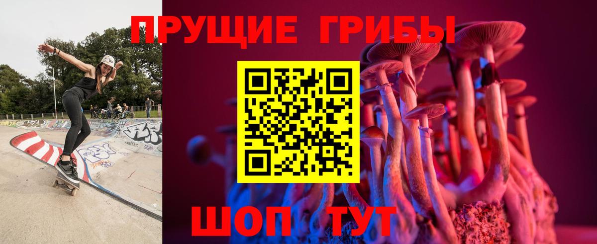 Звенигород  Галлюциногенные грибы мицелий  Вход с VPN 