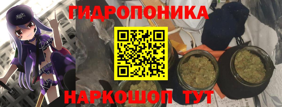 Бошки Шишки White Widow  Каннабис конопля  Звенигород  Вход с VPN 