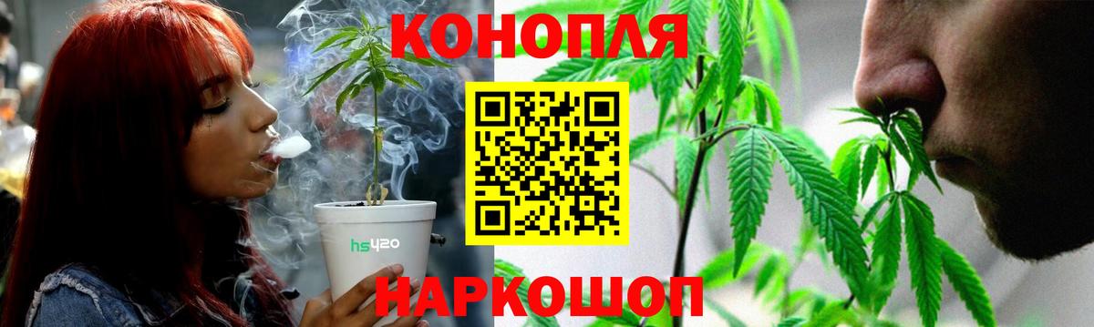 Бошки Шишки ГИДРОПОН Звенигород